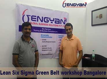 Lean Six Sigma Green belt training one on one basis