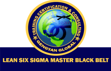 lean Six Sigma Master Black Belt